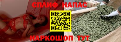 хмурый Гатчина