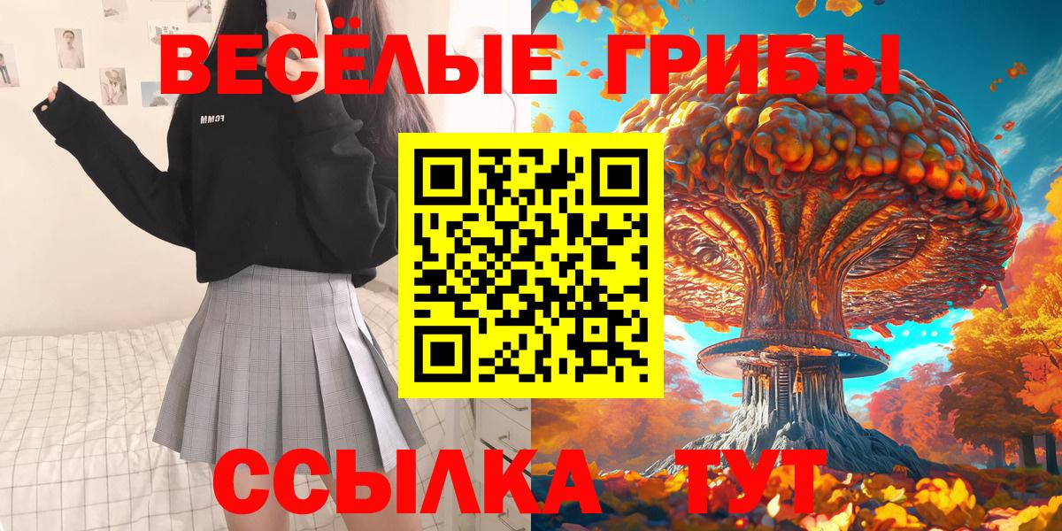 Галлюциногенные грибы GOLDEN TEACHER Дмитров
