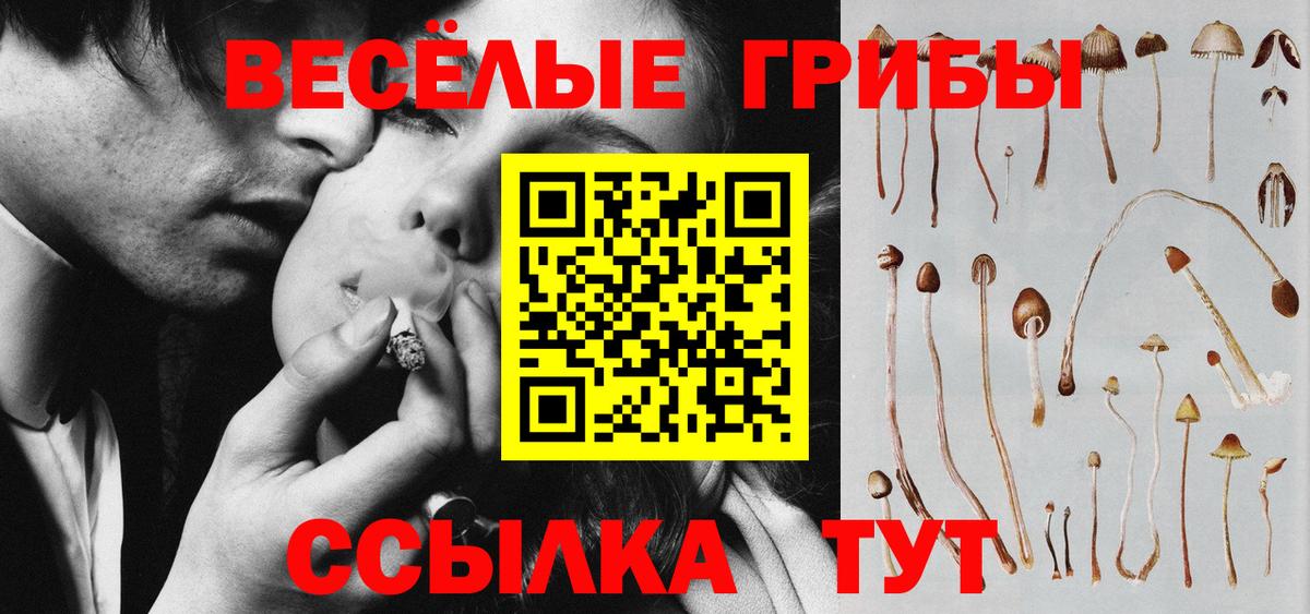 Галлюциногенные грибы MAGIC MUSHROOMS  Вход с VPN  Псилоцибиновые грибы MAGIC MUSHROOMS  Дмитров 
