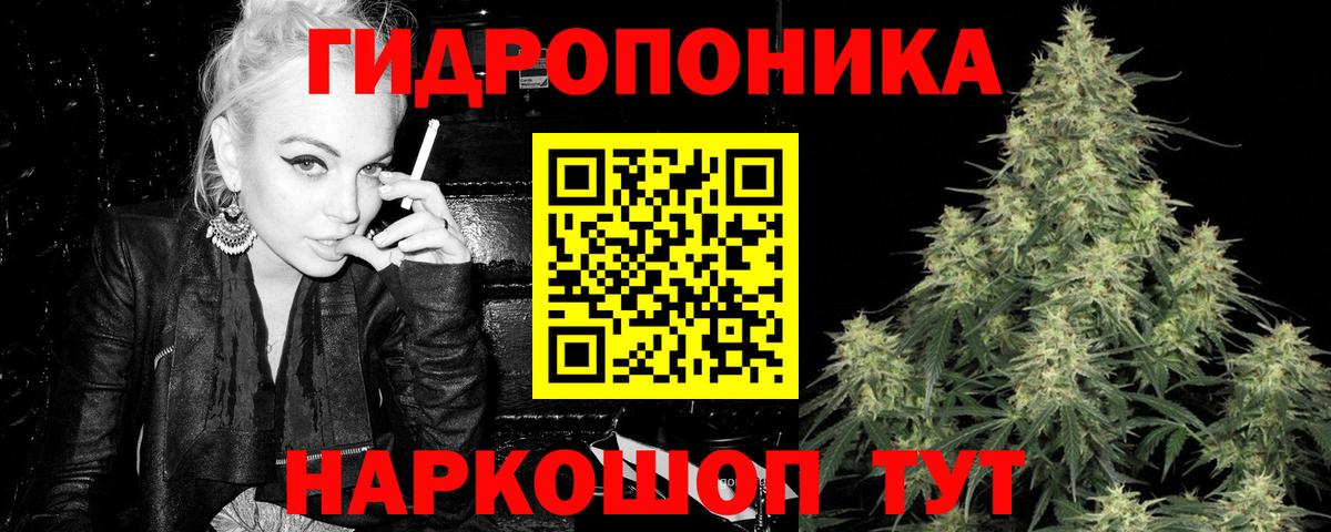 Бошки Шишки Bruce Banner Дмитров
